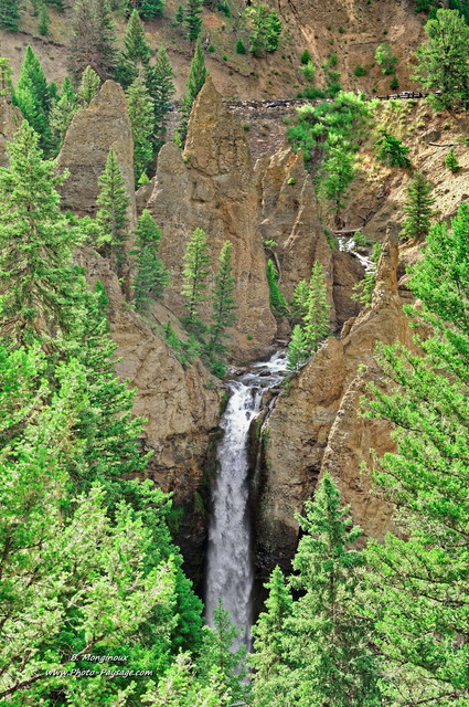 La cascade de Tower Fall
Parc national de Yellowstone, Wyoming, USA
Mots-clés: yellowstone cascade usa wyoming categ_ete foret_usa conifere montagne_usa cadrage_vertical