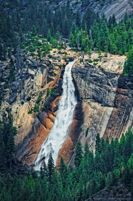 Yosemite : les chutes de Nevada falls 
Vue depuis Glacier Point. 

Parc National de Yosemite, Californie, USA
Mots-clés: yosemite californie usa cascade foret_usa montagne_usa cadrage_vertical