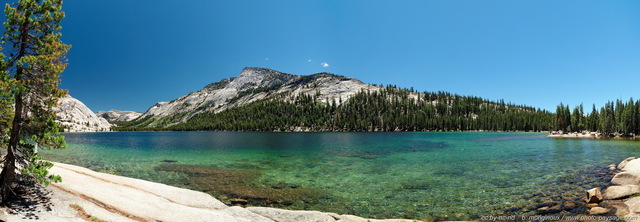 Yosemite : photo panoramique du Lac Tenaya 
[i](assemblage panoramique HD)[/i]
Accessible par la Tioga Road sur les hauteurs de Yosemite (2484m), le lac Tenaya est le plus beau des nombreux lacs de ce parc naturel. 
Parc National de Yosemite, Californie, USA
Mots-clés: les_plus_belles_images_de_nature yosemite montagne_usa californie usa categorielac categ_ete photo_panoramique