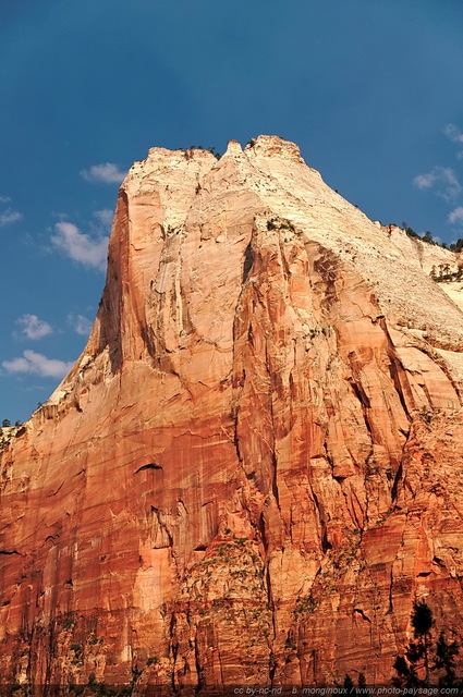 Zion - Abraham Peak (2101m)
Zion National Park, Utah, USA

Mots-clés: usa utah park zion nature categ_ete montagne_usa cadrage_vertical