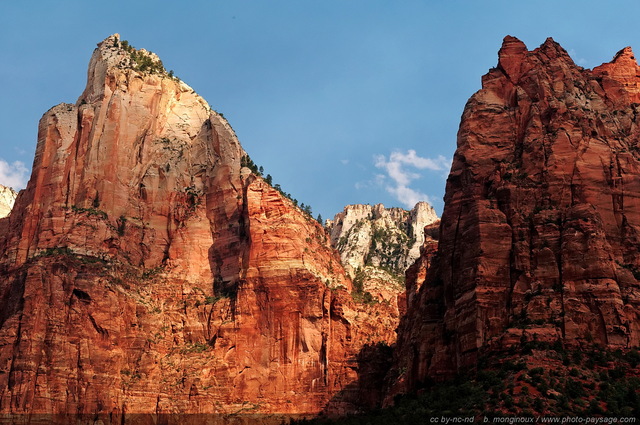 Zion - Isaac Peak  & Mount Moroni
Zion National Park, Utah, USA

Mots-clés: usa utah park zion nature categ_ete montagne_usa