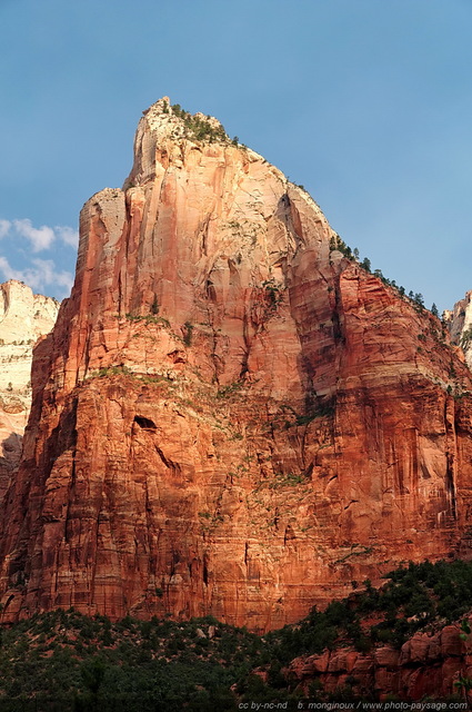 Zion - Isaac Peak (2081m)
Zion National Park, Utah, USA

Mots-clés: usa utah park zion nature categ_ete montagne_usa