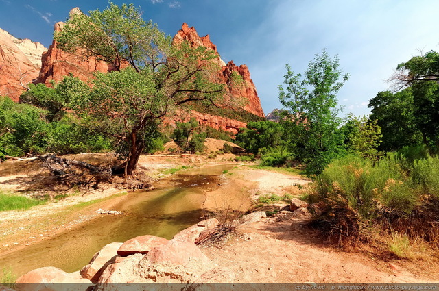 Zion - La Virgin River au pied de la Cour des Patriarches
Une rivière en apparence paisible, mais qui peut faire l'objet d’inondations aussi brutales que difficilement prévisibles (flashflood).

Zion National Park, Utah, USA
Mots-clés: usa utah park zion nature categ_ete riviere plage