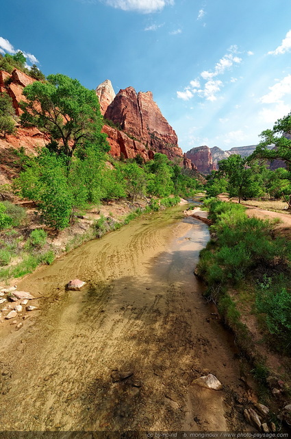 Zion  - La branche nord de la Virgin river
Zion National Park, Utah, USA

Mots-clés: usa utah park zion nature categ_ete riviere cadrage_vertical