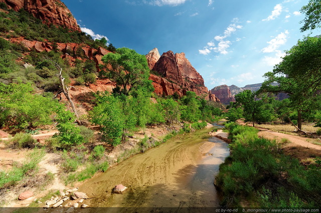 Zion  - Virgin River   North Fork
Zion National Park, Utah, USA

Mots-clés: usa utah park zion nature categ_ete riviere