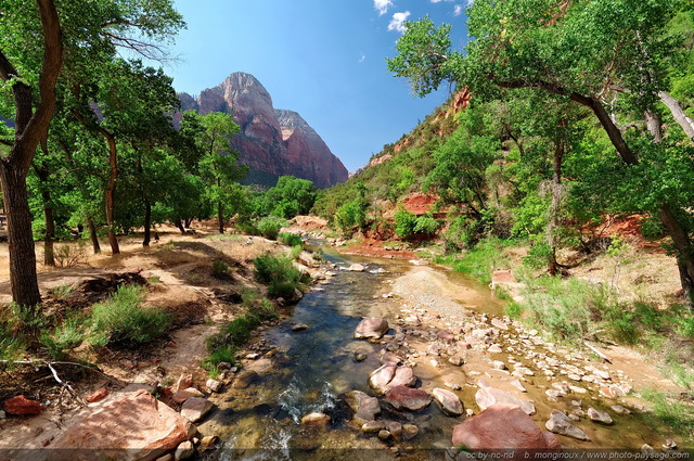 Zion - la Virgin River : une rivière dans le désert
Zion National Park, Utah, USA
Mots-clés: usa utah park zion nature categ_ete