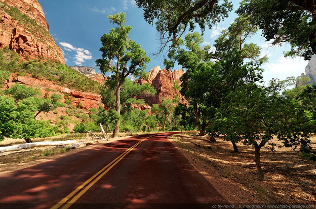 Zion - Scenic Drive
Zion National Park, Utah, USA

Mots-clés: usa utah park zion nature categ_ete routes_ouest_amerique