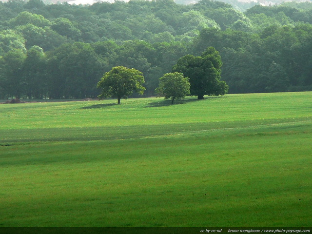 Arbres dans les champs
Essonne
Mots-clés: campagne champs essonne rural ile-de-france ile_de_france rural campagne