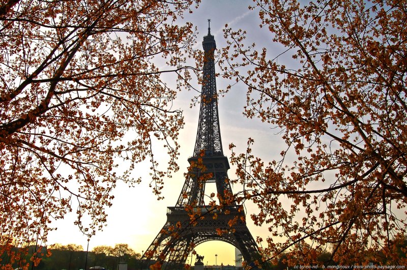 La Tour Eiffel vue à travers les arbres qui longent les quais de Seine
Paris, France
Mots-clés: paris monument tour_eiffel