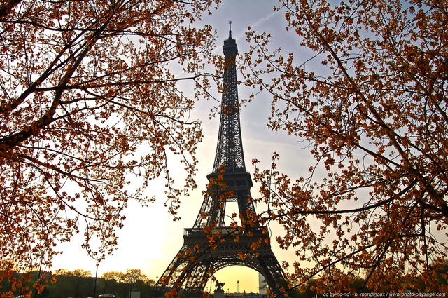 La Tour Eiffel vue à  travers les arbres qui longent les quais de Seine
Paris, France
Mots-clés: paris monument tour_eiffel