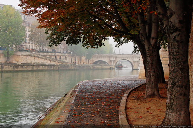 Paysage de brume automnale sur les quais de Seine
En arrière plan : le Pont Neuf
Ile de la Cité, Paris.
Mots-clés: paris automne la_seine quais paves ile_de_la_cite pont-neuf paysage_urbain les_ponts_de_paris paves fleuve brume