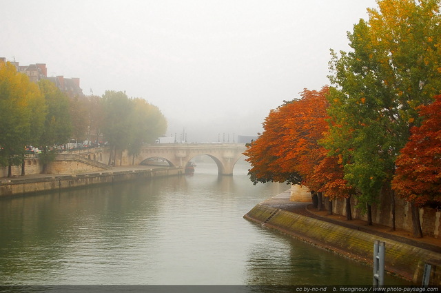 La Seine et le Pont Neuf en automne
Ile de la Cité
Paris, France
Mots-clés: paris ile-de-la-cite automne pont-neuf ponts_de_paris la_seine brume brouillard les_ponts_de_paris