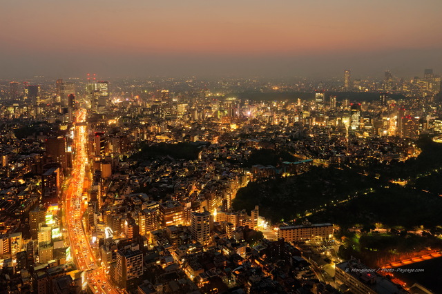 Une autoroute suspendue, illuminée par les phares des voitures, passe entre les buildings de Tokyo
Tokyo, Japon
Mots-clés: route tokyo japon