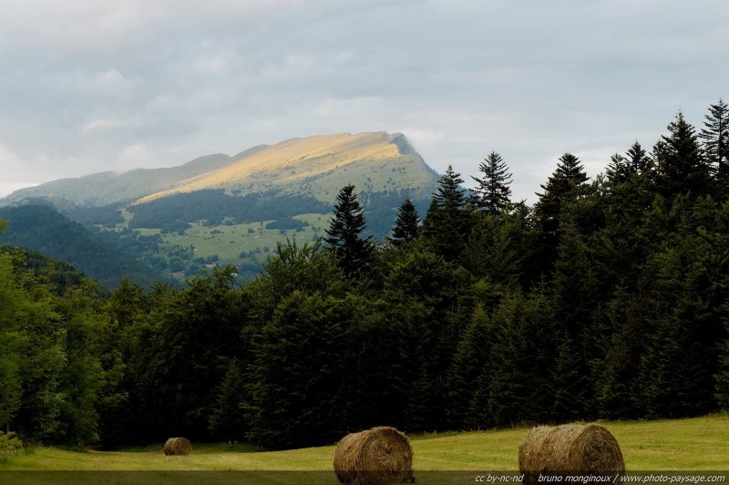 Campagne du Vercors
Mots-clés: vercors campagne montagne champs categ_ete beautes_de_la_nature montagnard oxygene