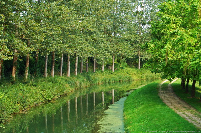 Canal de l'Ourcq
Seine et Marne, France
Mots-clés: canal reflets ourcq seine_et_marne miroir nature chemin_de_halage ete alignement_d_arbre