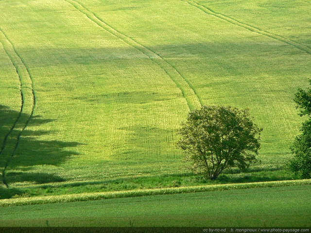 Champs de blé
Essonne, France
Mots-clés: champs essonne culture campagne rural chemin_a_travers_champs categ_ble ile-de-france ile_de_france rural campagne