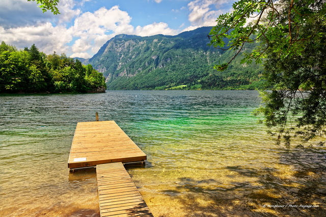 Envie de baignade dans le lac de Bohinj ?
Parc national du Triglav, Slovénie
Mots-clés: slovenie categorielac categ_ete foret_slovenie alpes_slovenie pont les_plus_belles_images_de_nature regle_des_tiers