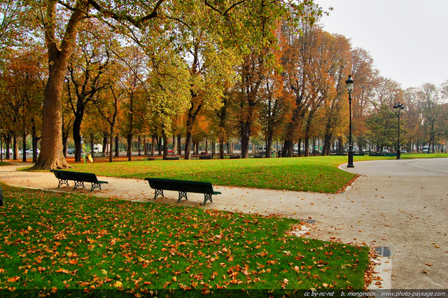 Jardin public en automne
Paris, France
Mots-clés: paris automne jardin banc pelouse feuilles_mortes