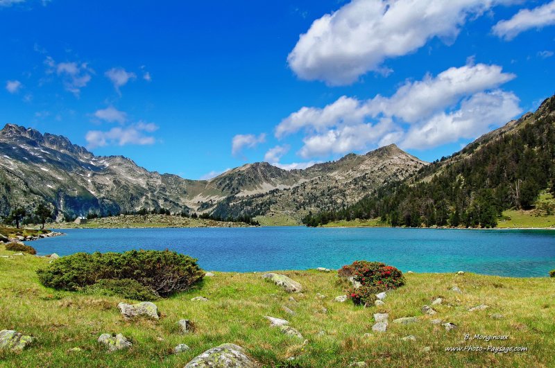 Magnifique paysage lacustre photographié au bord du lac d'Aumar, dans la réserve naturelle du Néouvielle.
Hautes Pyrénées, France
Mots-clés: montagne pyrenees pic ciel_bleu nuage categorielac categ_ete