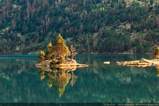 Des arbres sur un petit îlot se reflètent sur les eaux du lac d'Aubert
Réserve naturelle du Néouvielle.

Hautes Pyrénées, France
Mots-clés: arbre_remarquable montagne regle_des_tiers reflets pyrenees arbre_seul ilot categorielac categ_ete conifere les_plus_belles_images_de_nature