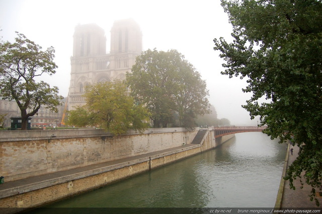 Brume d'automne sur les tours de Notre Dame
Notre Dame de Paris,
Ile de la Cité, Paris, France
Mots-clés: notre-dame-de-paris paris ile-de-la-cite brume brouillard la-seine monument paysage_urbain les_ponts_de_paris fleuve brume