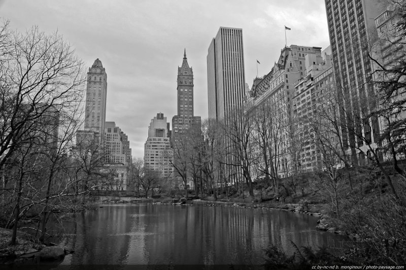 The Pond
Sud de Central Park
Manhattan, New York, USA
Mots-clés: usa etats-unis new-york manhattan central-park tour gratte-ciel