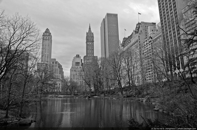 The Pond
Sud de Central Park
Manhattan, New York, USA
Mots-clés: usa etats-unis new-york manhattan central-park tour gratte-ciel