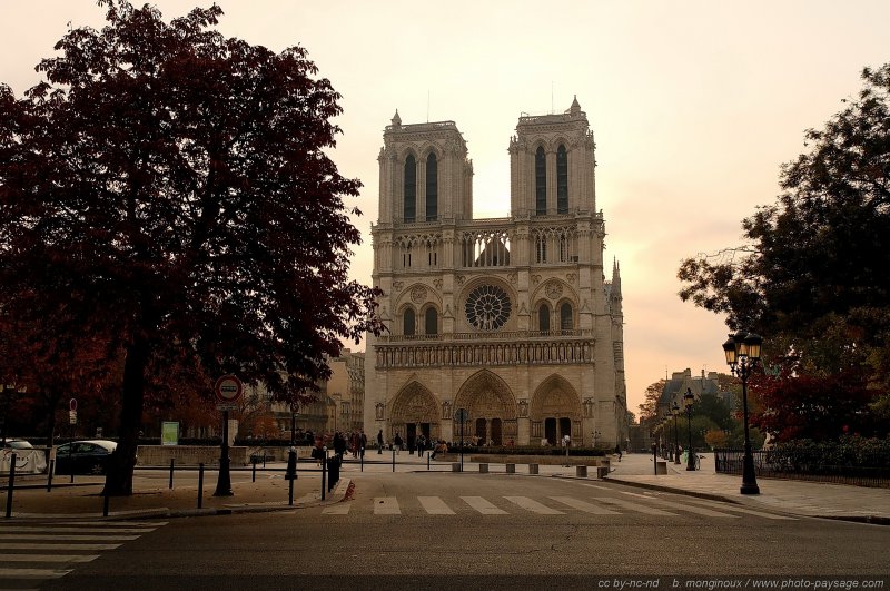 Le parvis de Notre Dame
Paris, France
Mots-clés: paris monument notre-dame-de-paris notre_dame_de_paris rue