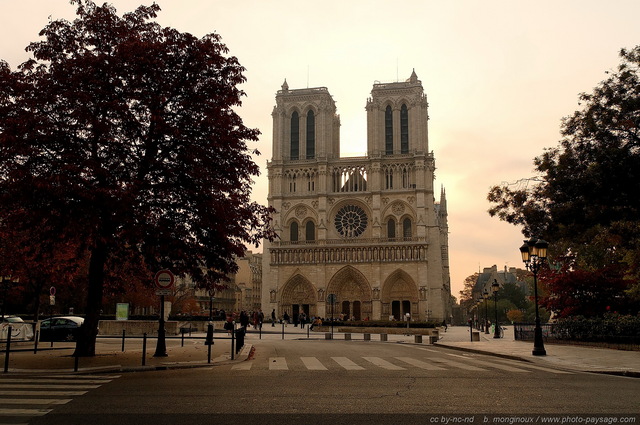 Le parvis de Notre Dame
Paris, France
Mots-clés: paris monument notre-dame-de-paris notre_dame_de_paris rue