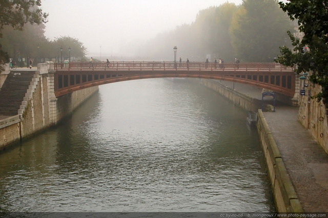 Brume sur le pont au double
Ile de la Cité
Paris, France
Mots-clés: pont-au-double ile-de-la-cite paris brume brouillard la_seine quais ponts_de_paris paysage_urbain les_ponts_de_paris fleuve brume