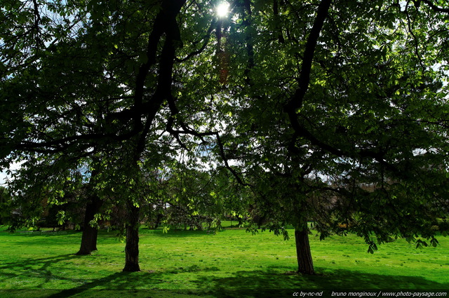 Le printemps à  Paris
Parc Montsouris
Mots-clés: paris jardin pelouse herbe printemps