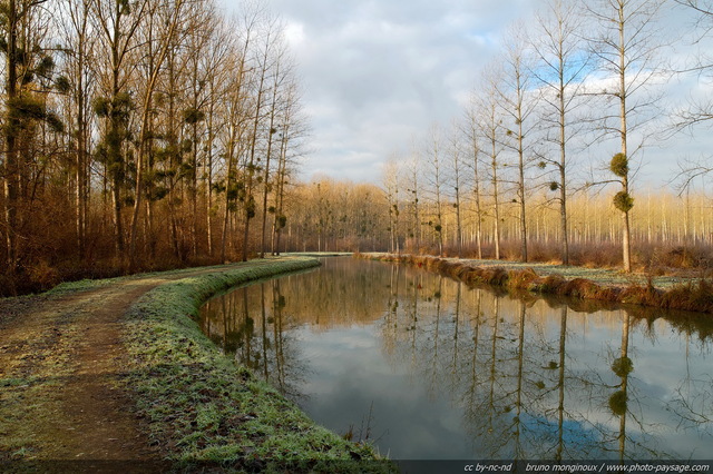 Reflets sur le Canal de l'Ourcq en hiver
Une journée de fin d'hiver ensoleillée : les rives du canal de l'Ourcq sont recouvertes d'une légère couche de givre, tandis que le ciel et les arbres effeuillés se reflètent dans ce superbe miroir d'eau. 

Seine et Marne, France
Mots-clés: les_plus_belles_images_de_nature canal reflets ourcq chemin seine_et_marne alignement_d_arbre miroir reflets givre hiver chemin_de_halage alignement_d_arbre