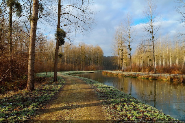 Chemin de halage le long du canal
Canal de l'Ourcq,
Seine et Marne, France
Mots-clés: canal reflets ourcq chemin seine_et_marne miroir reflets givre hiver chemin_de_halage