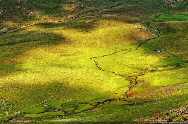 Pâturages pyrénéens
Hautes Pyrénées, France
Mots-clés: montagne pyrenees pâturage ruisseau categ_ete