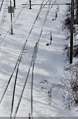 Aiguillages_recouverts_de_neige.jpg