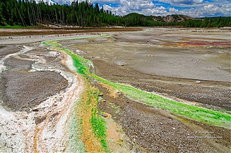 Algues-et-bacteries-donnent-ces-couleurs-variees-a-ces-sources-chaudes-----Norris-geyser-basin---Yellowstone.jpg