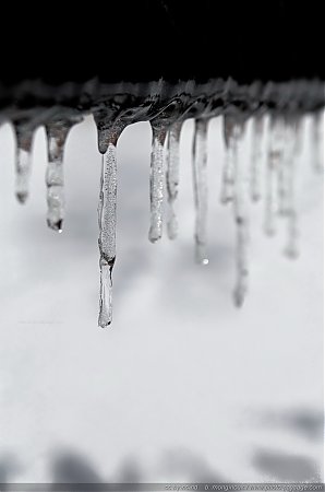 Alignement-de-stalactites-de-glace---1.jpg
