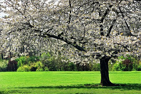 Les Plus Belles Images De Printemps Photo Paysage Com Photo Paysage Com