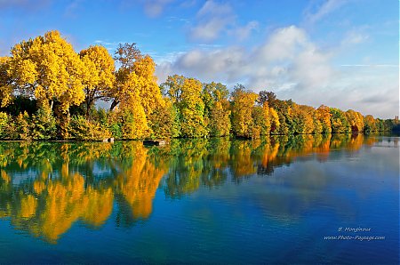 Arbres-en-automne-alignes-au-bord-de-l_eau.jpg