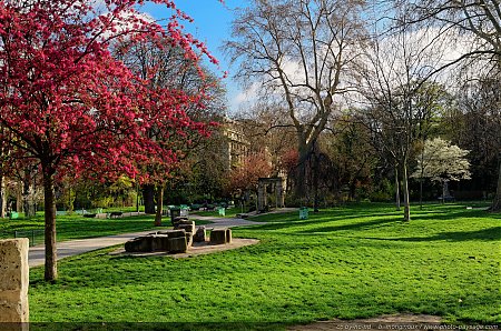 Arbres-en-fleurs-et-couleurs-printaniere-dans-le-parc-Monceau.jpg