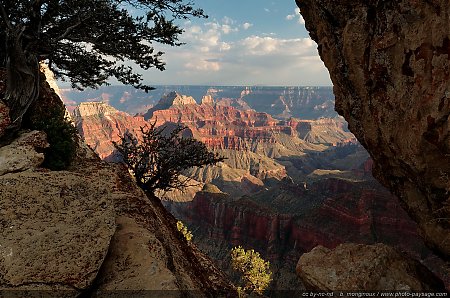 Au-bord-d_une-falaise-du-Grand-Canyon.jpg