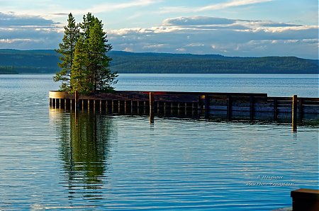 Au-bord-du-lac-de-Yellowstone-a-Grant-Village.jpg