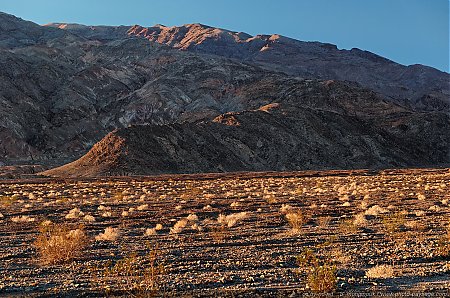 Au-petit-matin-dans-le-desert-de-la-Vallee-de-la-Mort.jpg