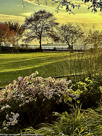 Automne-fleurs-parc-new_york.jpeg