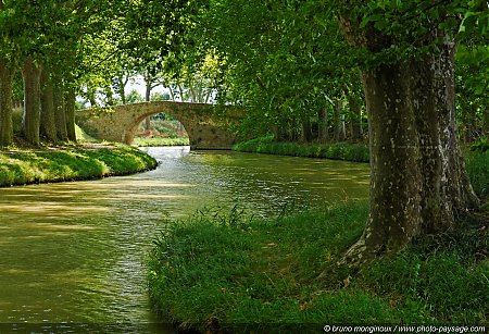 Balade_le_long_du_Canal_du_Midi_-04.jpg