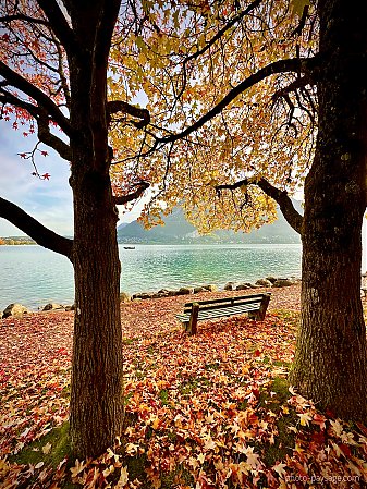 Banc-automne-lac-annecy.jpeg