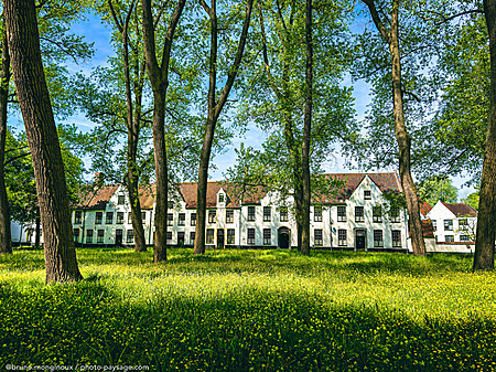 Beguinage-Bruges-fleurs-IMG_1136.jpeg