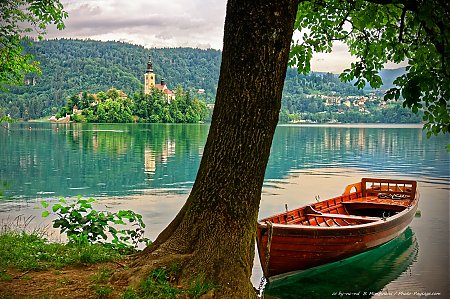 Bled-une-barque-pour-se-rendre-sur-l-ile-au-milieu-du-lac.jpg