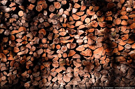 Nom du fichier=Bois-de-coupe.jpg
Taille du fichier=1664Ko
Dimensions : 2409x1600
Ajouté le : 29 Octobre 2012 Bois-de-coupe.jpg
