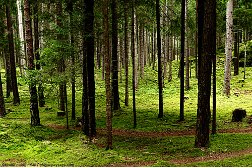 Nom du fichier=Bol-de-nature-foret_autriche-1080968.jpeg
Taille du fichier=13417Ko
Dimensions : 5151x3434
Ajouté le : 22 Août 2025 Nom du fichier=Bol-de-nature-foret_autriche-1080968.jpeg
Taille du fichier=13417Ko
Dimensions : 5151x3434
Ajouté le : 22 Août 2025